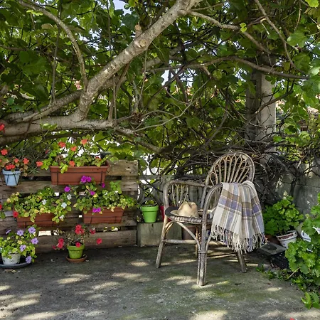 El Llosin منزل ريفي ريباذيسييّا